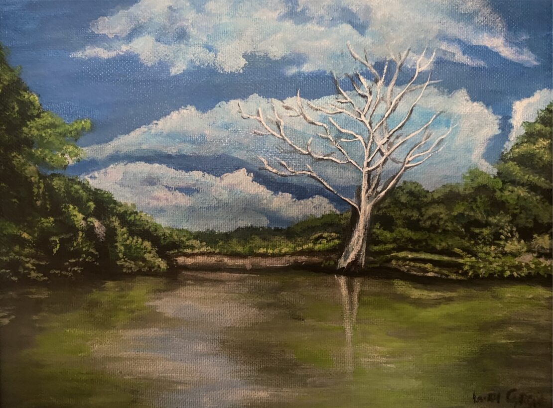 San Marcos River - Laurel Cyrene - 8" x 10" - Acrylic on Canvas Panel