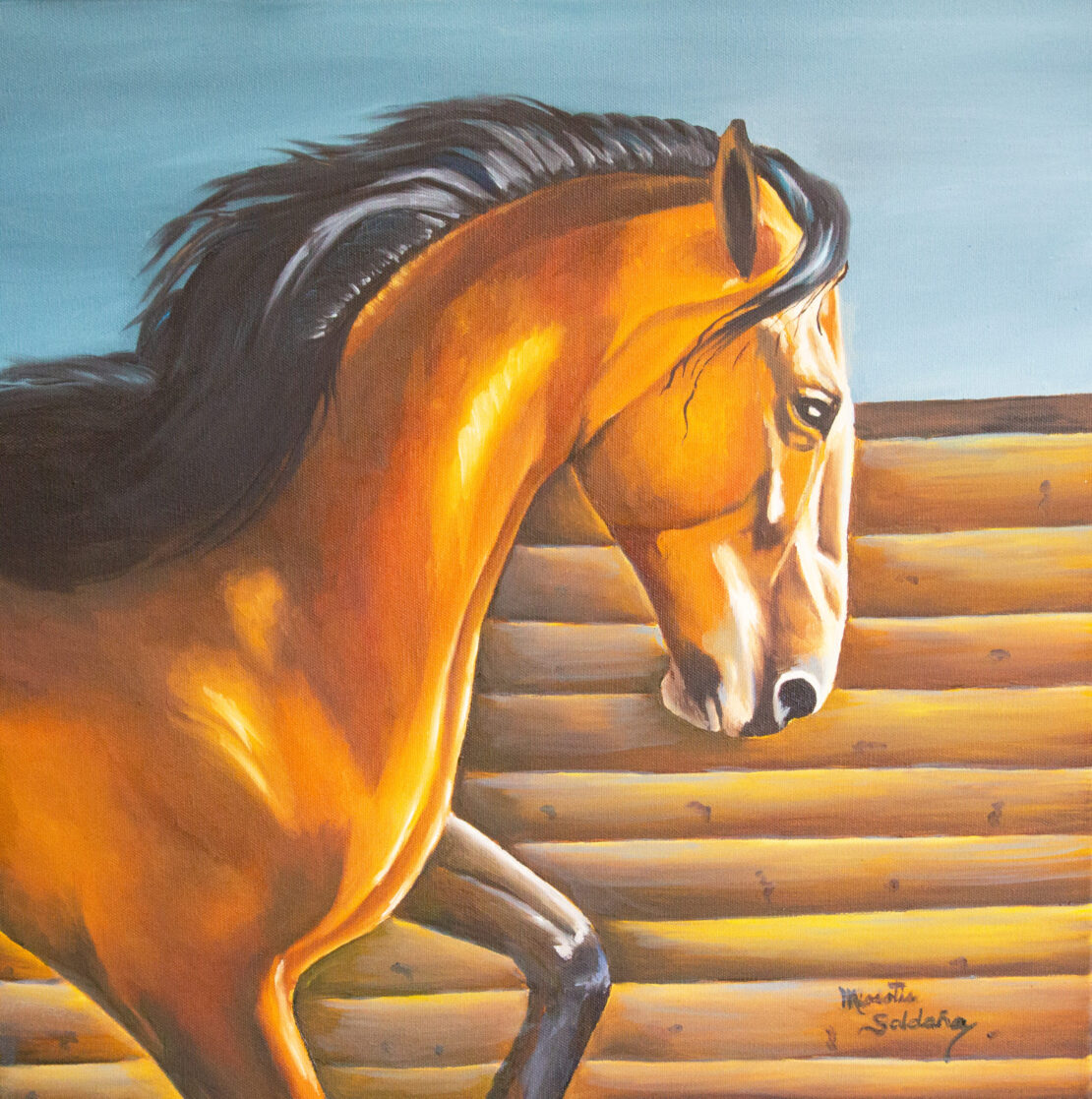 Flash The Horse - Miosotis Saldana - 20" x 20" - Oil on Canvas