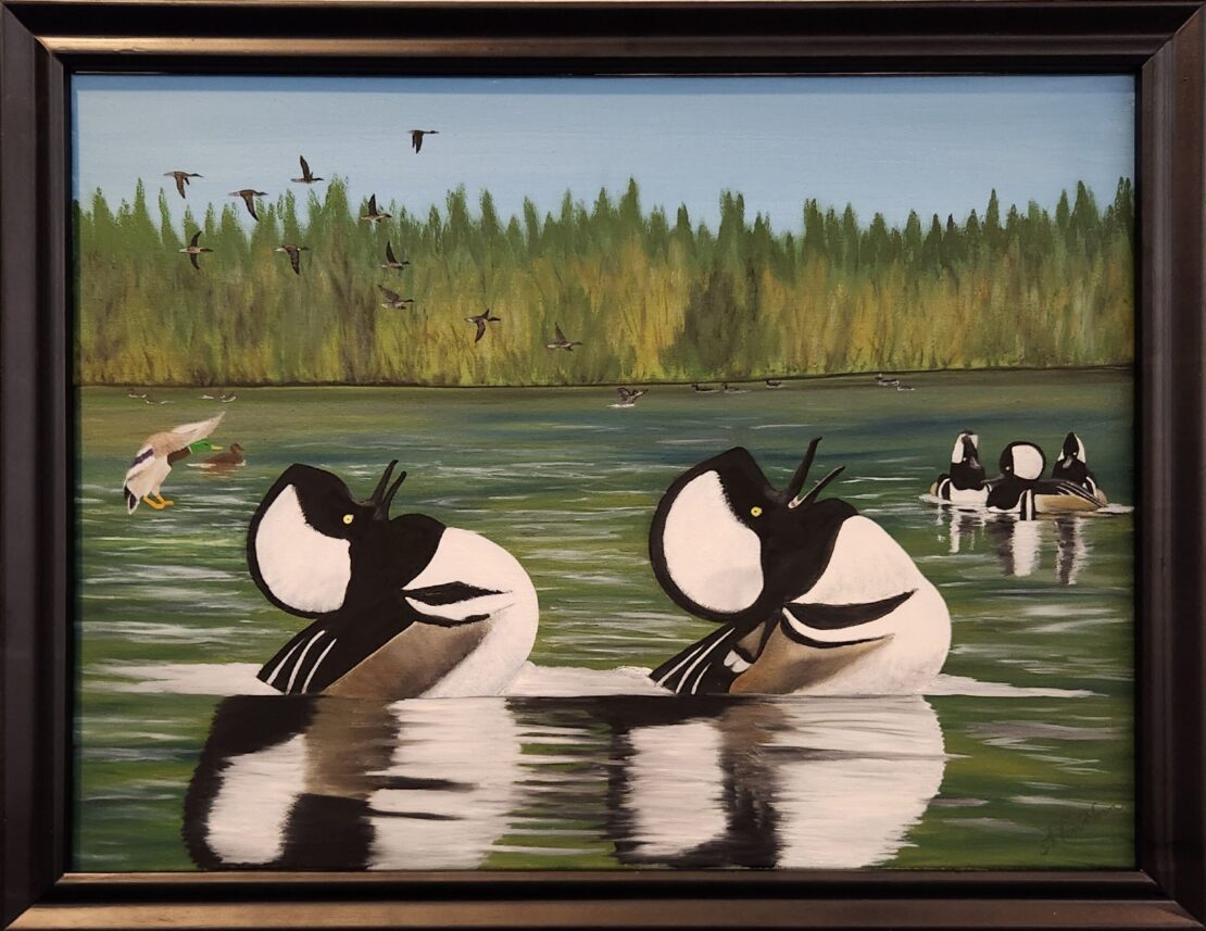 Merganser Dance Party  -  Tamara Van Horn  - 21" x 27" - Oil on Canvas