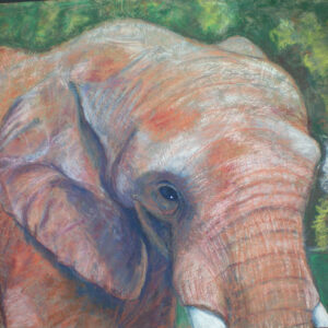 texas artists