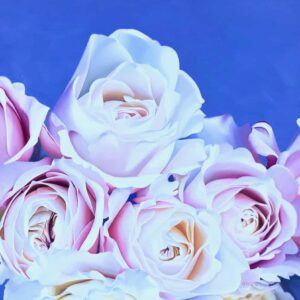 virtual art gallery