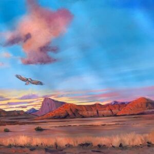 virtual exhibitions