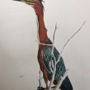 virtual exhibitions