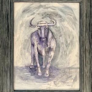 virtual exhibitions