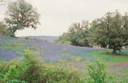 Photography - Landscape