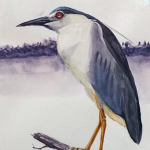 virtual exhibitions