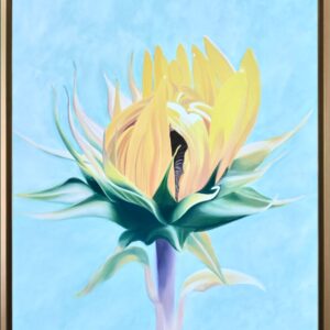virtual exhibitions