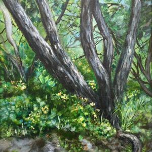 virtual gallery tour