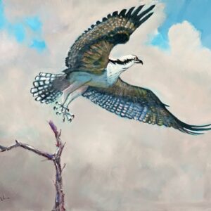 virtual exhibitions