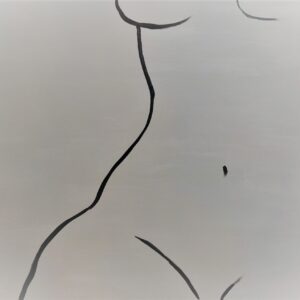virtual exhibitions