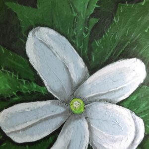 artplacer